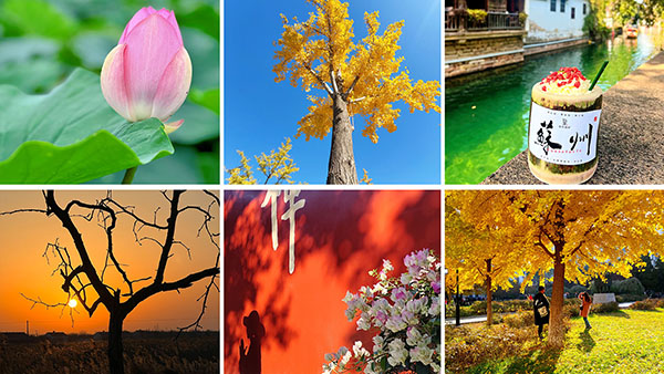 0fdbf2c5ffb456997339c900612ee671.jpg 拼图1 拷贝.jpg