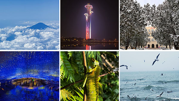 23a5e6a4f7e6654959fb3e1adfe1e641.jpg 拼图 2 拷贝.jpg